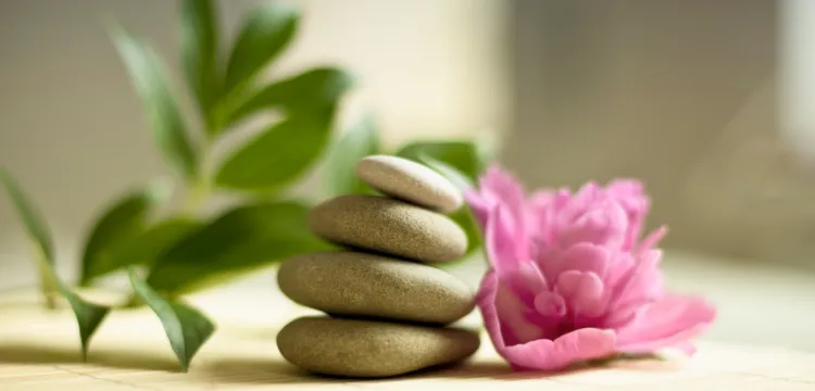 Des avantages uniques pour les membres du RMPQ