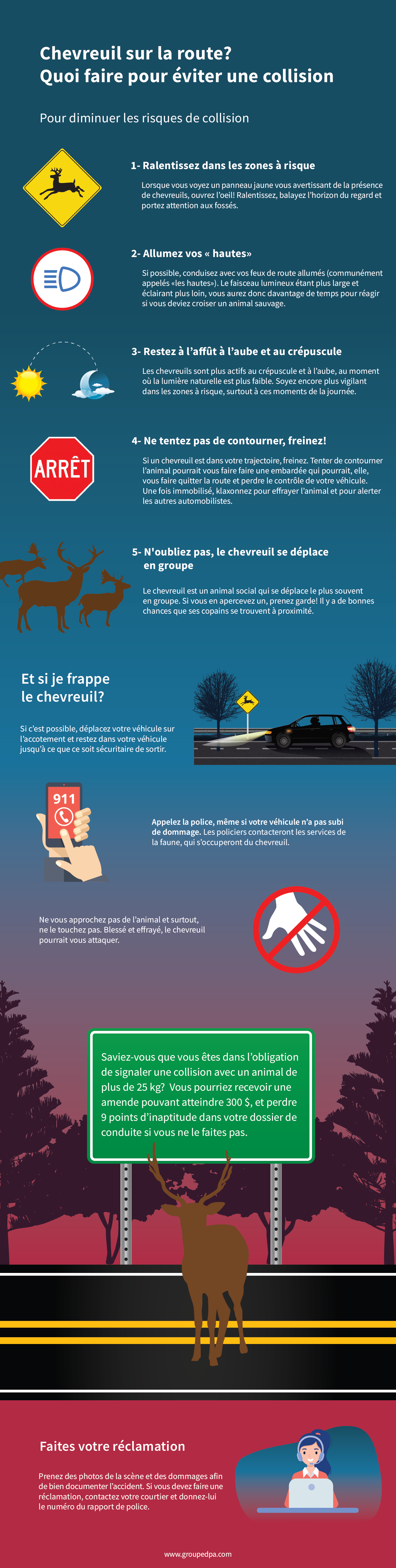 Chevreuil sur la route